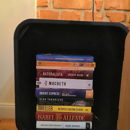 Slusarska Przy Starym 13 アパート ポズナン